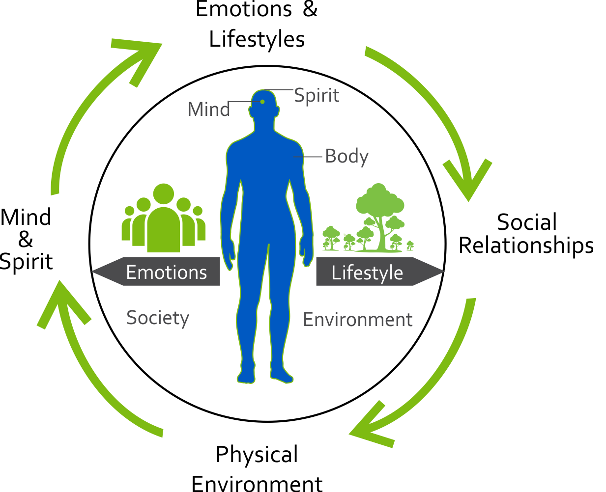 life-cycle image